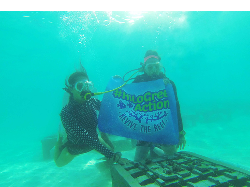 Menanam Terumbu Karang Di Laut Bersama Hilo 